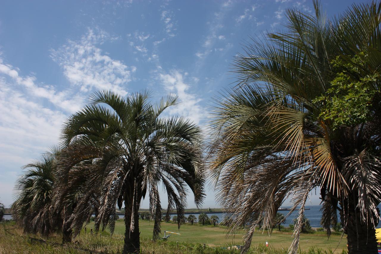 Palm Garden Maishima By Wbf Ōsaka Eksteriør bilde